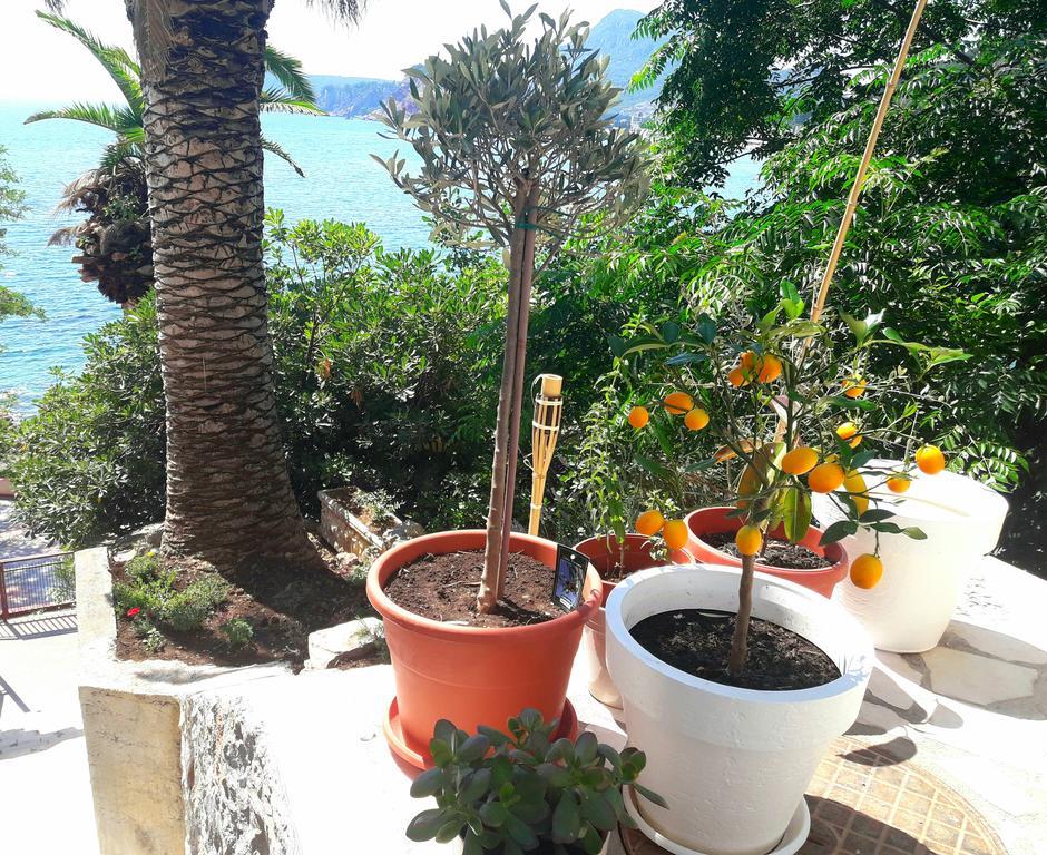 Two Palms Apartment 수토모레 외부 사진